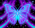 Glow Butterfly - Fine Art Print