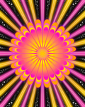 Sun Flower - Fine Art Print